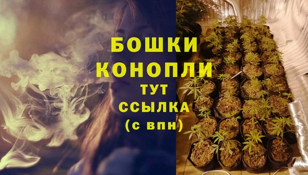крисы Богданович