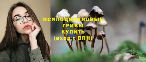 синтетический гашиш Богородск