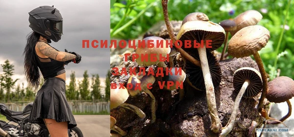 крисы Богданович