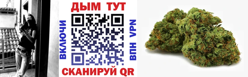 Бошки марихуана THC 21%  Златоуст 